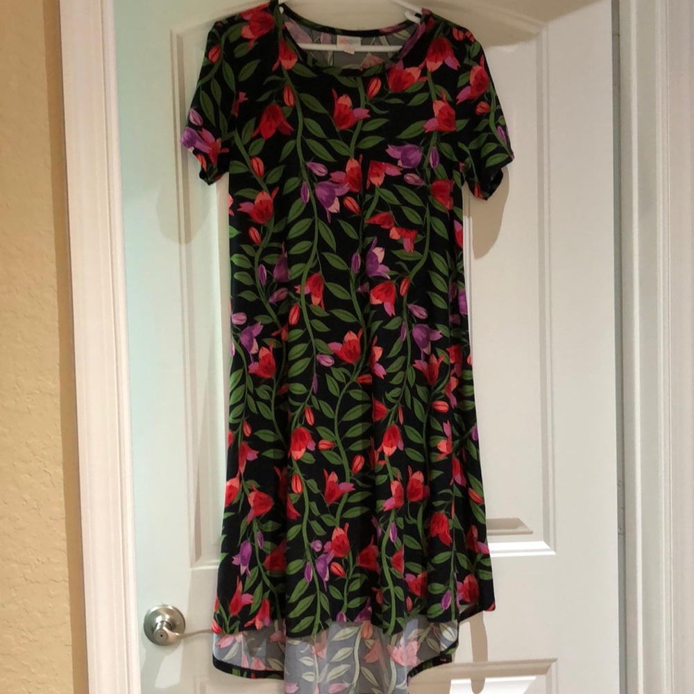 LulaRoe Carly dress